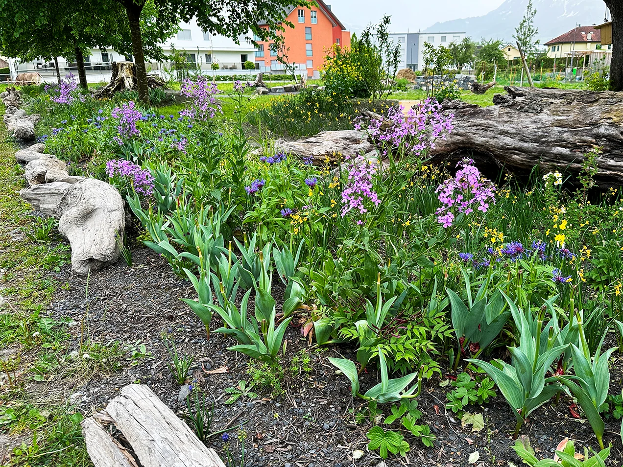 Der Parkplatz des Naturschaugartens liegt direkt gegenüber der Ruggeller Kirche.