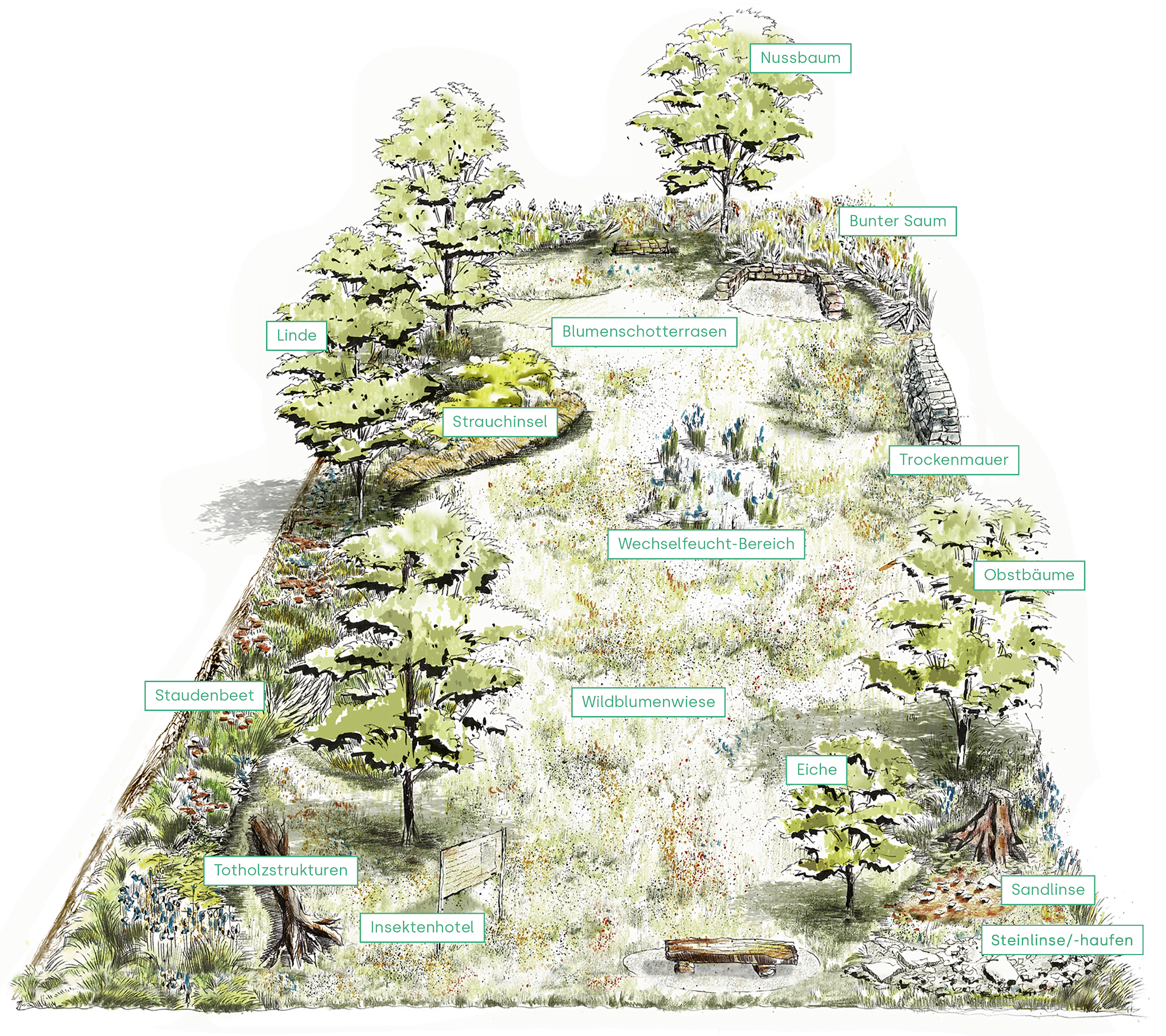 Illustrierte Übersicht der verschiedenen Stationen des Naturschaugartens.
